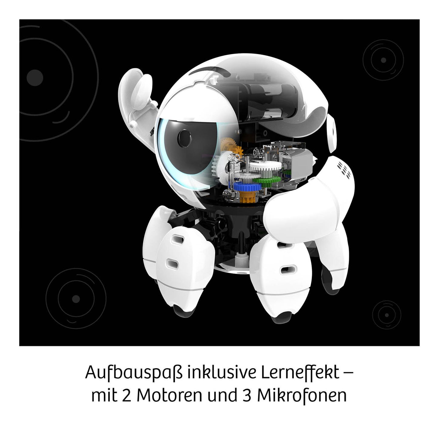 KOSMOS コスモス Bitsy ビッツィ KOSMOS実験キット ロボット ドイツ直輸入品 617424