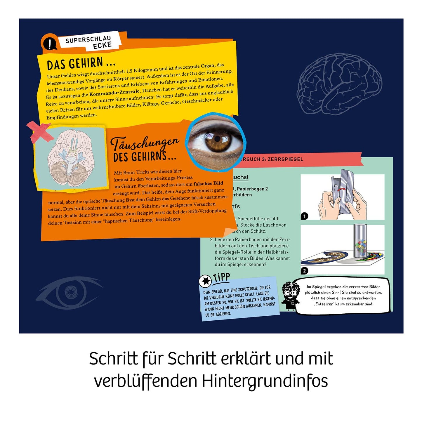 KOSMOS コスモス Fun Science Brain Tricks サイエンスブレイントリック KOSMOS実験キット ドイツ直輸入品 617530