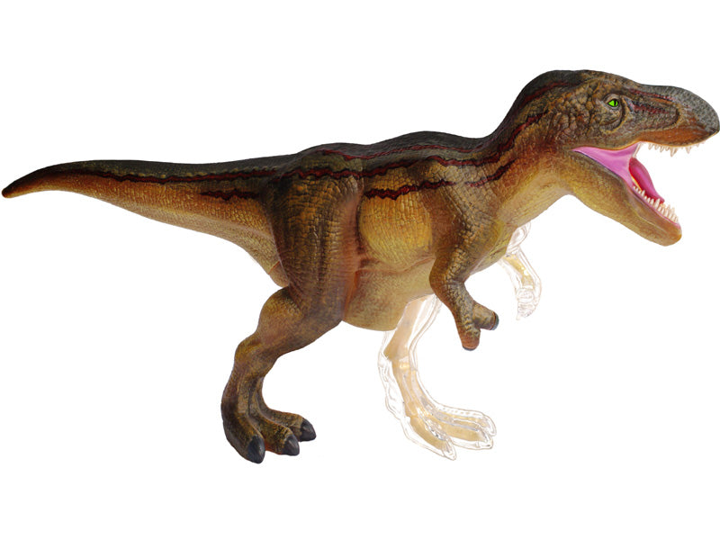 4D Master 622013 T-Rex 解剖モデル
