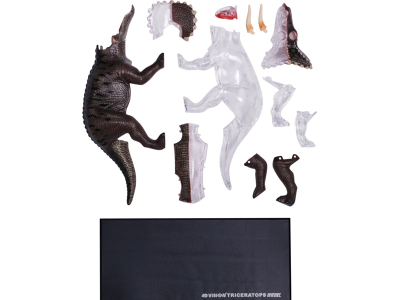 4D Master 622014 Triceratops トリケラトプス 解剖モデル