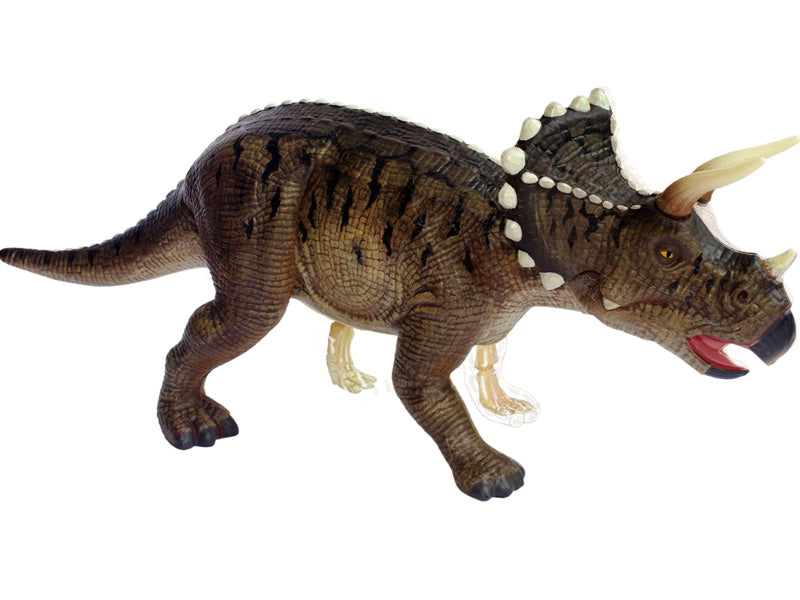 4D Master 622014 Triceratops トリケラトプス 解剖モデル