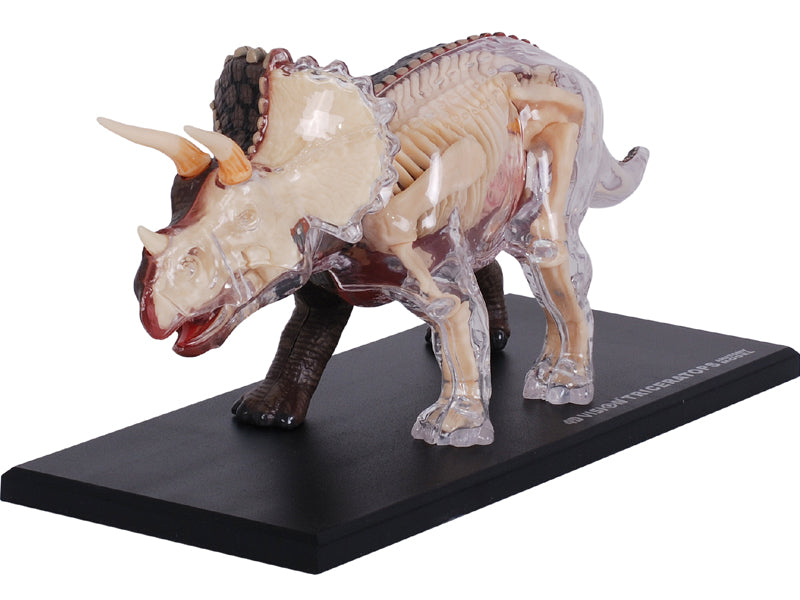 4D Master 622014 Triceratops トリケラトプス 解剖モデル