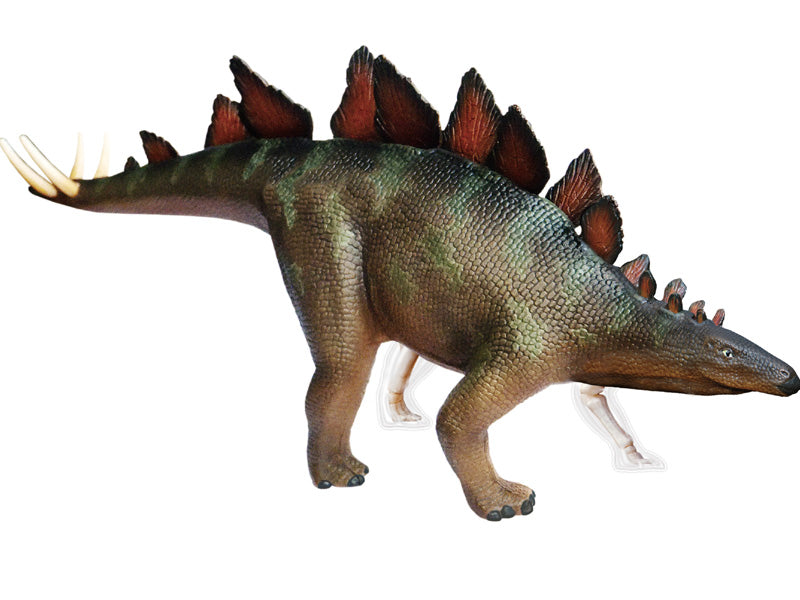 4D Master 622016 Stegosaurus ステゴサウルス 解剖モデル