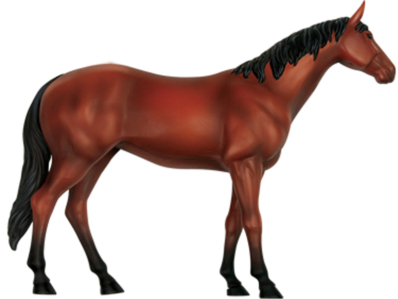 4D Master 622022 Horse 馬 ウマ 解剖モデル