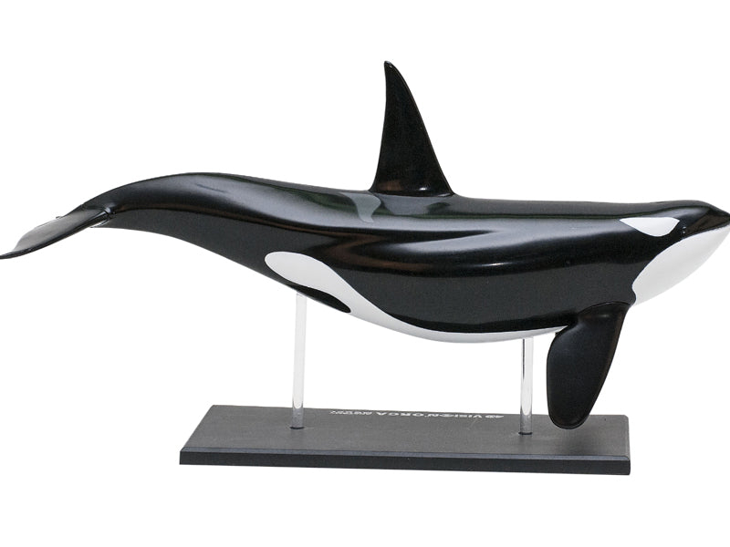 4D Master 622026 Orca オルカ 解剖モデル