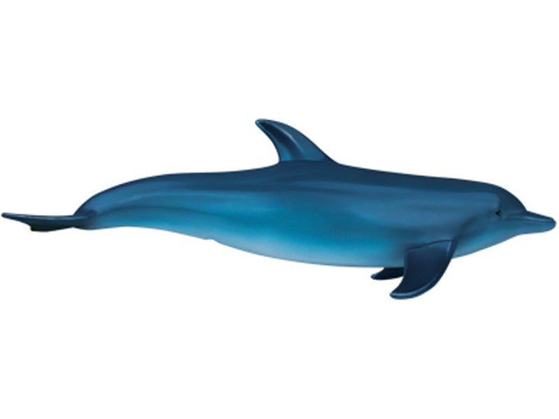 4D Master 622027 Dolphin イルカ解剖モデル