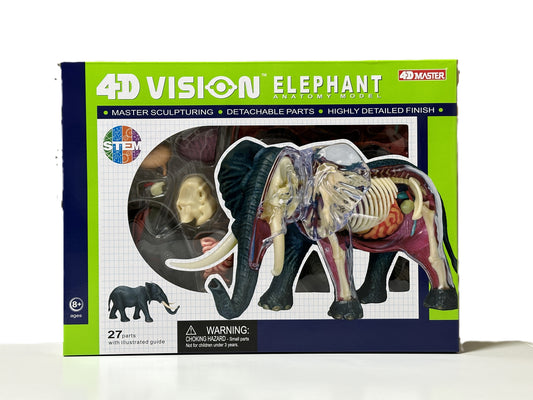 4D Master 622037 Elephant 象 解剖モデル