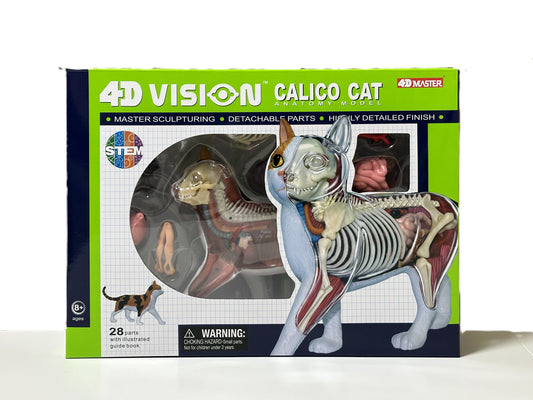 4D Master 622040 Calico Cat 三毛猫 解剖モデル