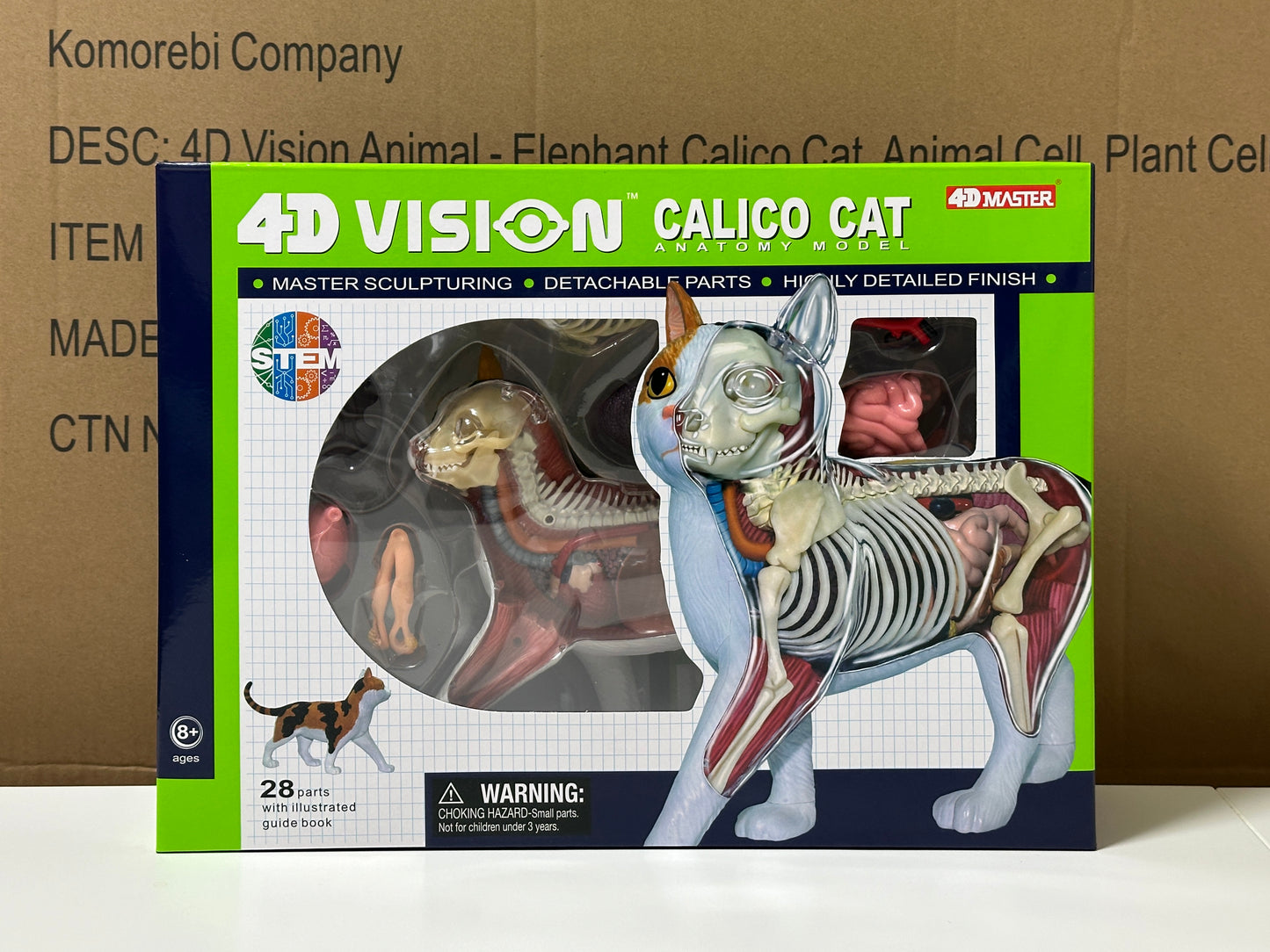 4D Master 622040 Calico Cat 三毛猫 解剖モデル