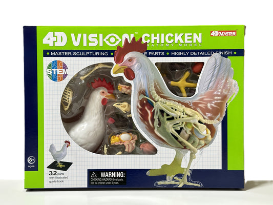 4D Master 622003 Chicken 鶏 解剖モデル