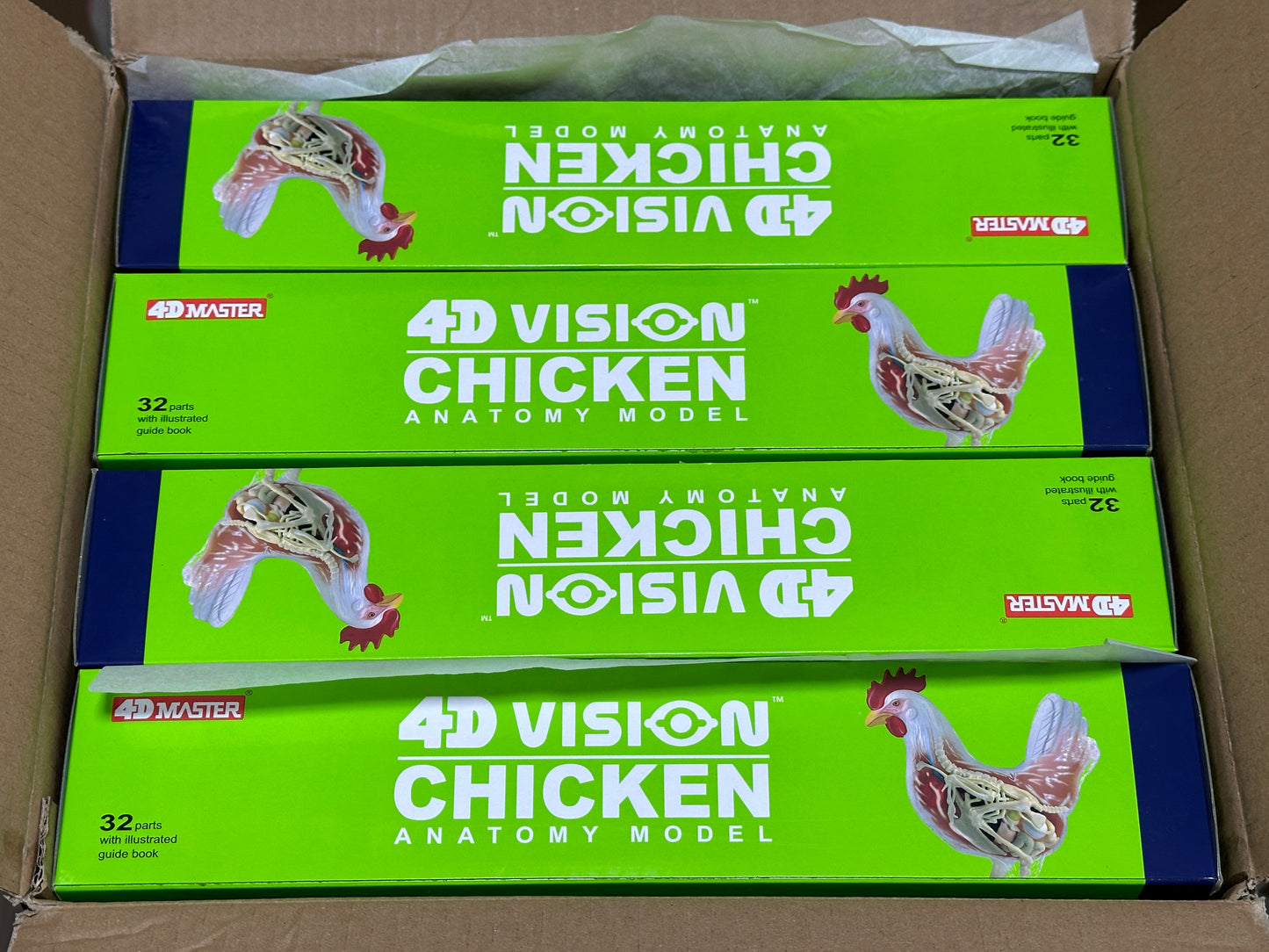 4D Master 622003 Chicken 鶏 解剖モデル