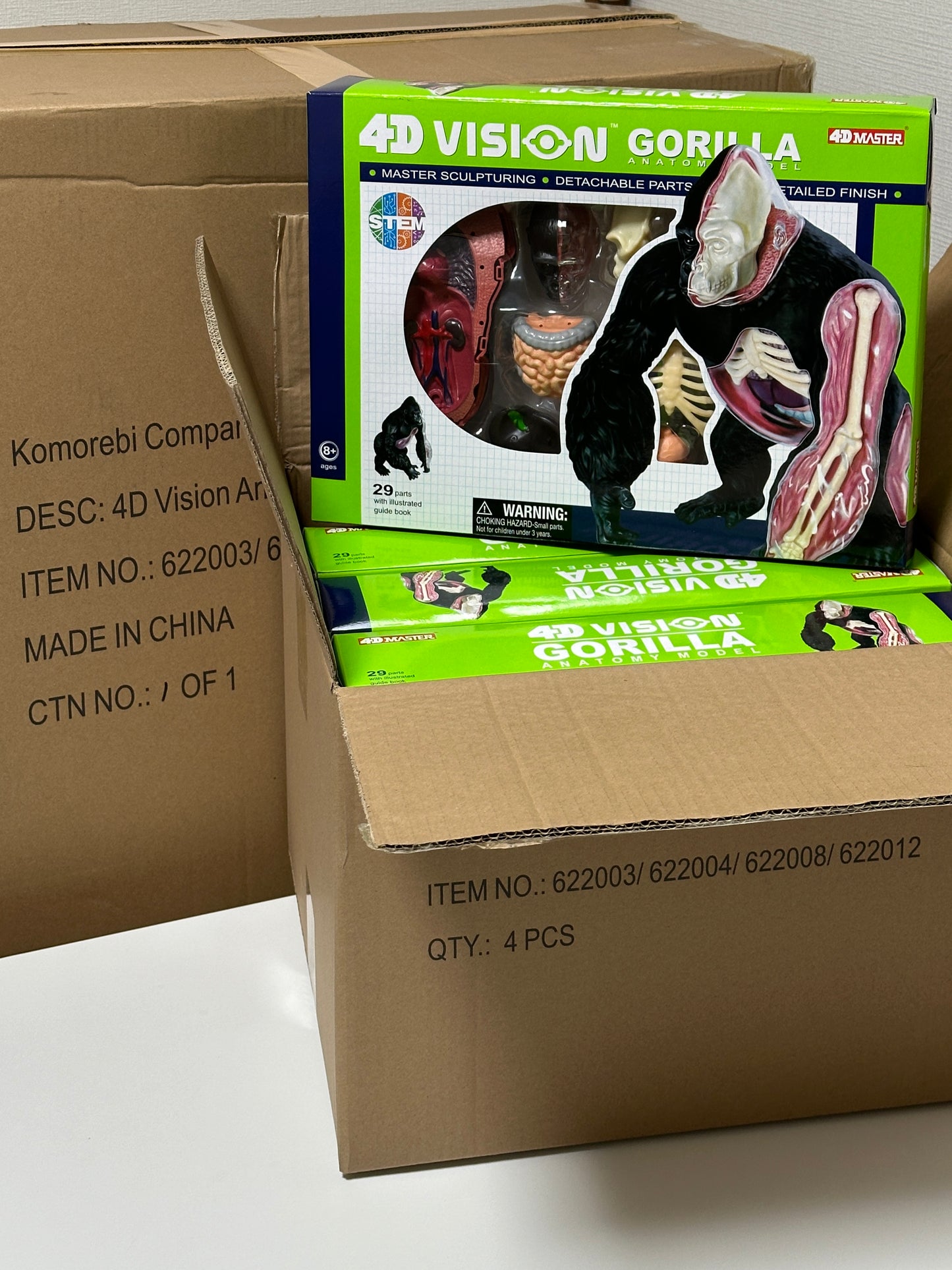 4D Master 622012 Gorilla ゴリラ 解剖モデル