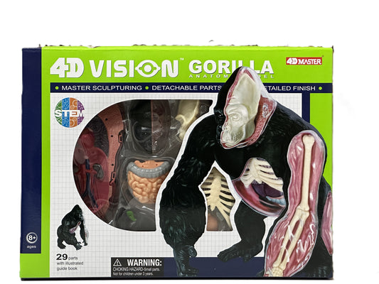 4D Master 622012 Gorilla ゴリラ 解剖モデル