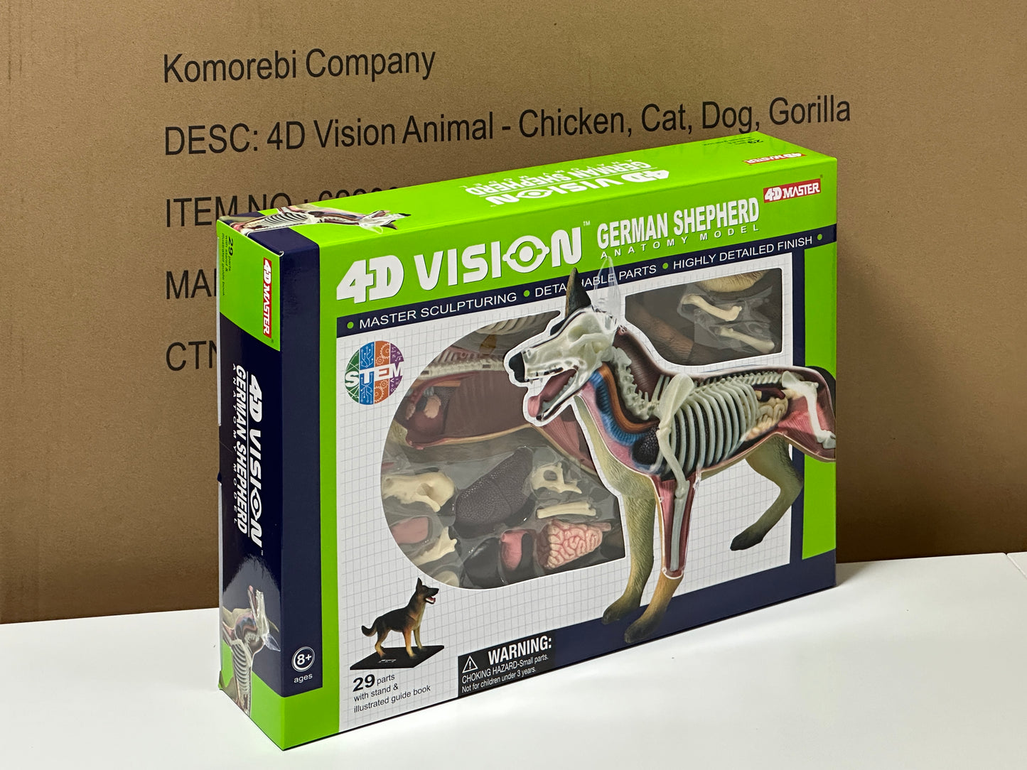 4D Master 622008 German Shepherd 犬（ジャーマンシェパード）解剖モデル