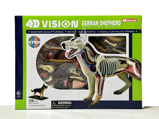 4D Master 622008 German Shepherd 犬（ジャーマンシェパード）解剖モデル
