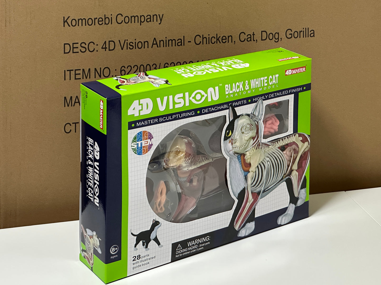 4D Master 622004 Black and White Cat 白黒猫 解剖モデル