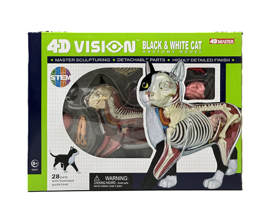4D Master 622004 Black and White Cat 白黒猫 解剖モデル