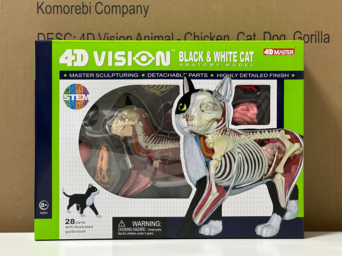 4D Master 622004 Black and White Cat 白黒猫 解剖モデル