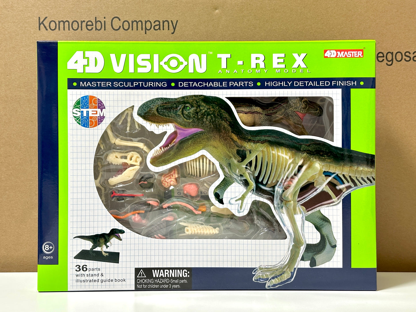 4D Master 622013 T-Rex 解剖モデル