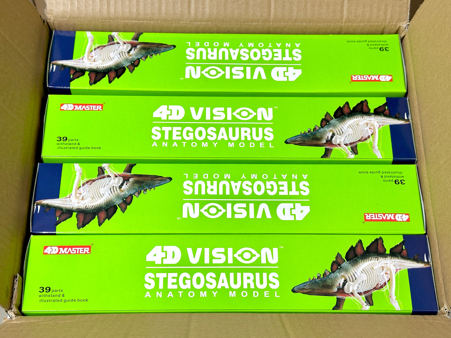 4D Master 622016 Stegosaurus ステゴサウルス 解剖モデル