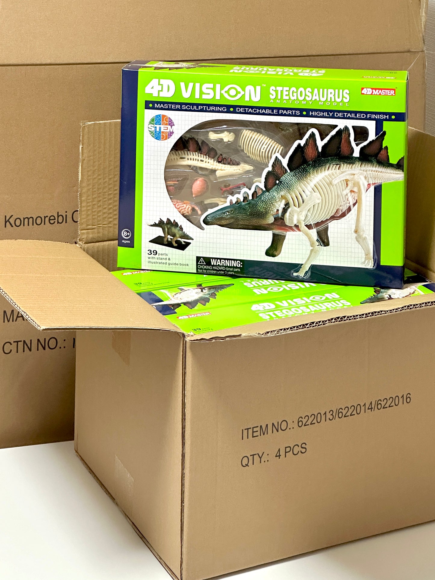 4D Master 622016 Stegosaurus ステゴサウルス 解剖モデル