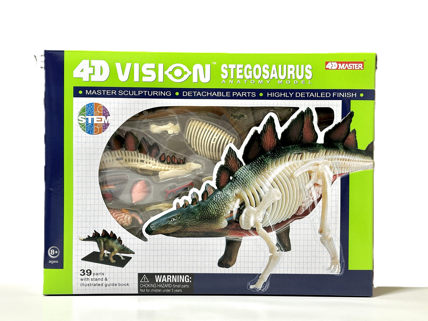 4D Master 622016 Stegosaurus ステゴサウルス 解剖モデル