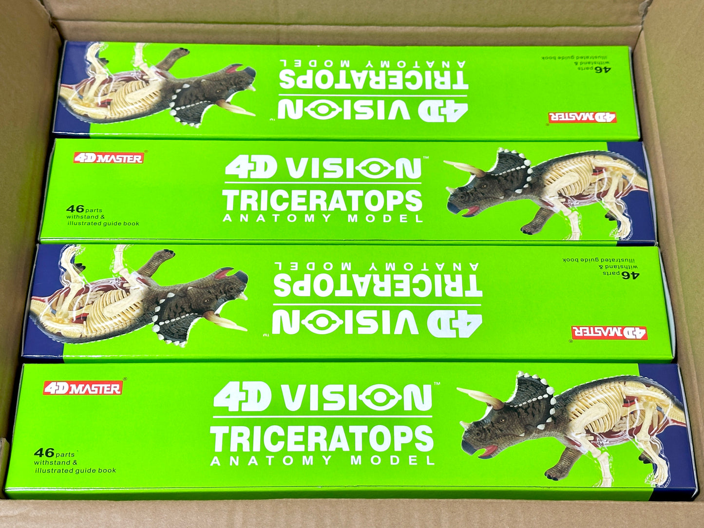 4D Master 622014 Triceratops トリケラトプス 解剖モデル