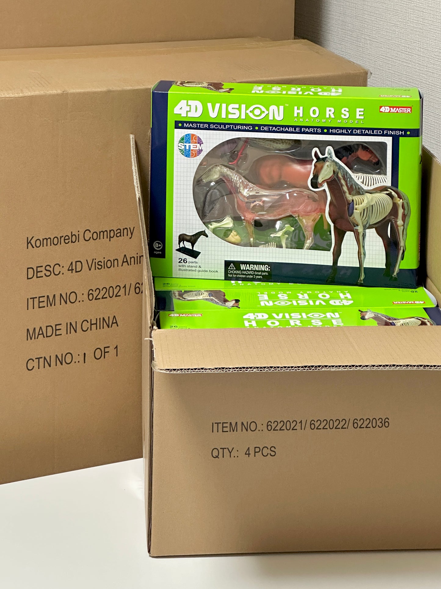 4D Master 622022 Horse 馬 ウマ 解剖モデル