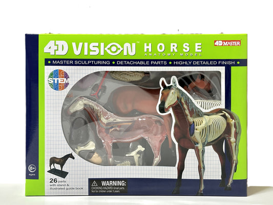 4D Master 622022 Horse 馬 ウマ 解剖モデル