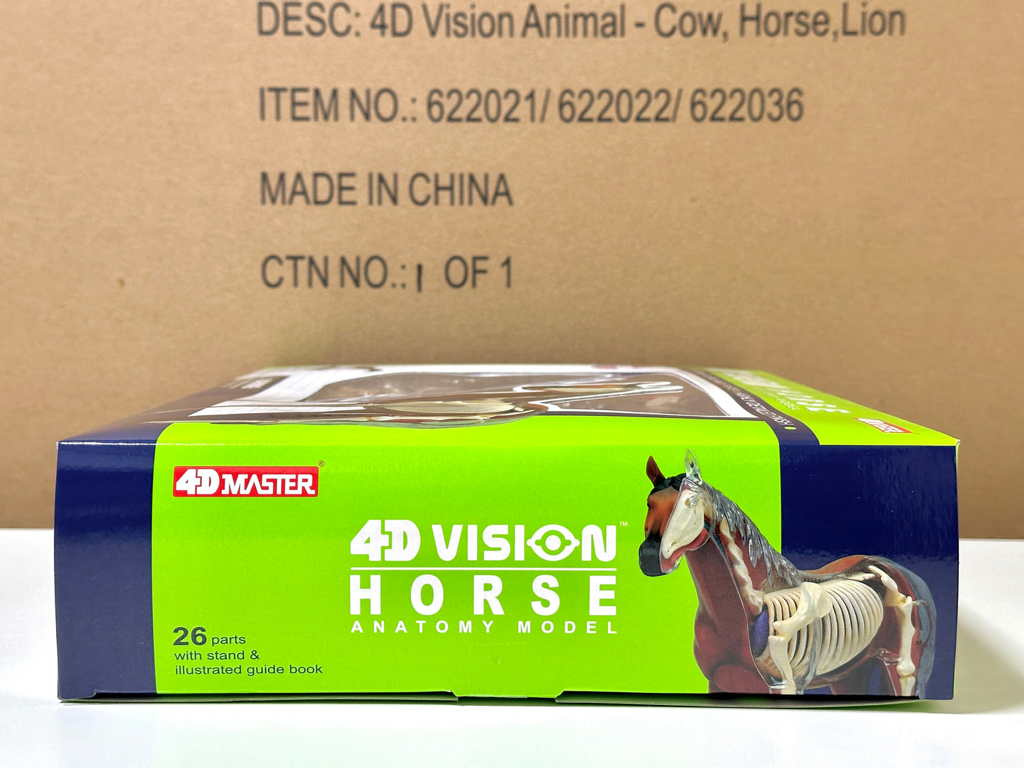 4D Master 622022 Horse 馬 ウマ 解剖モデル