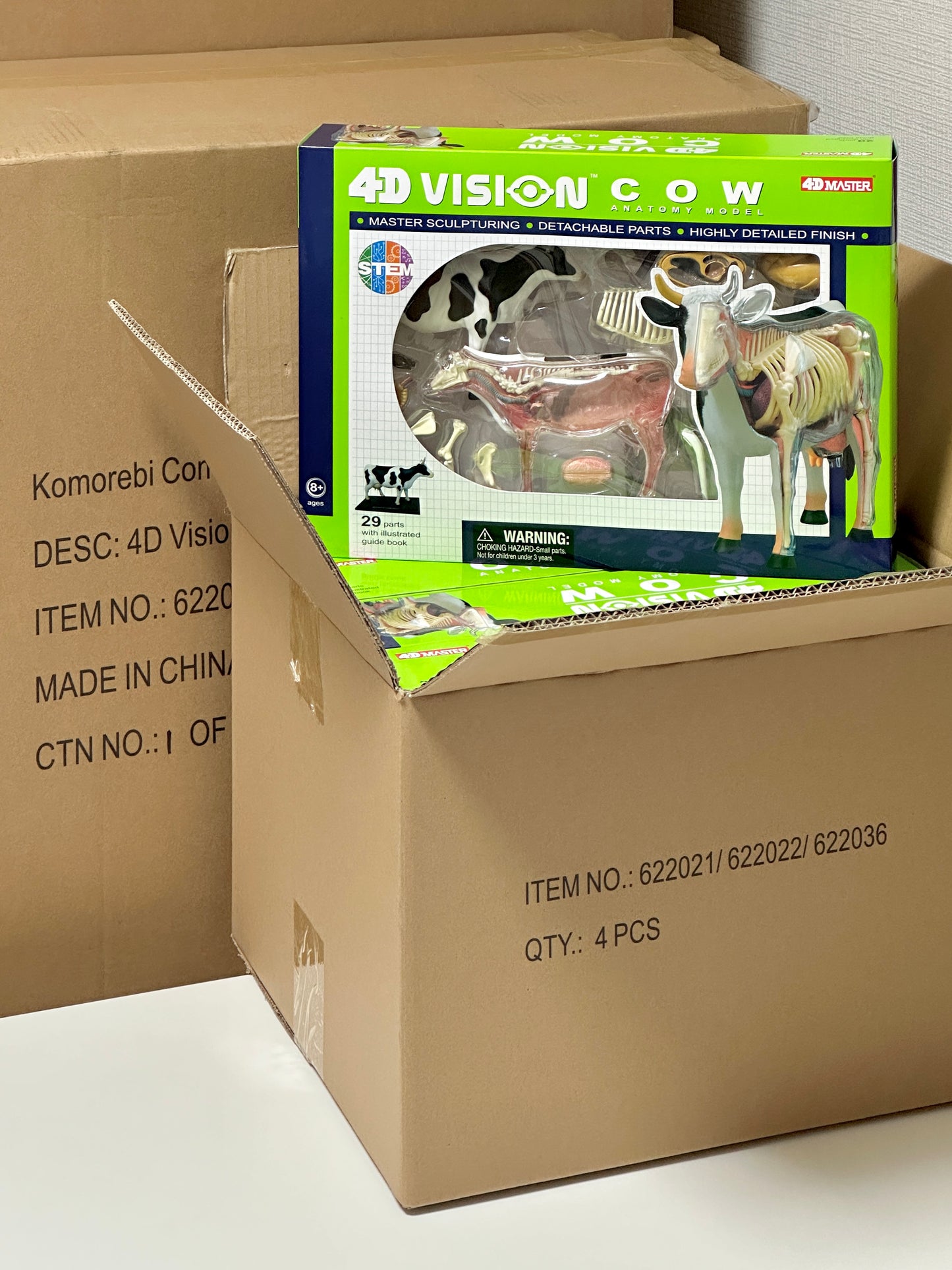 4D Master 622021 Cow 乳牛 解剖モデル