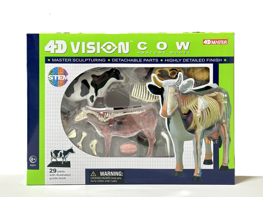 4D Master 622021 Cow 乳牛 解剖モデル
