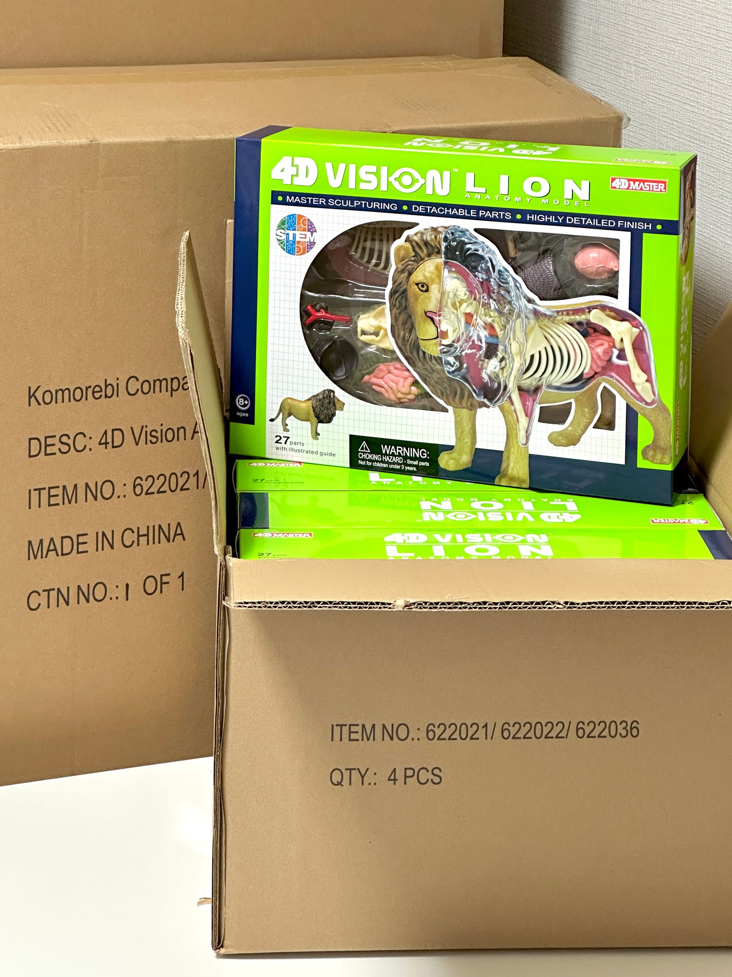 4D Master 622036 Lion ライオン 解剖モデル
