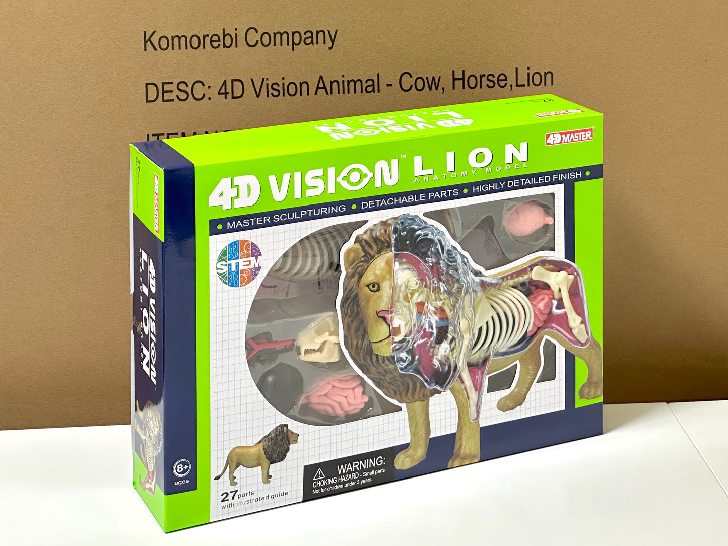 4D Master 622036 Lion ライオン 解剖モデル