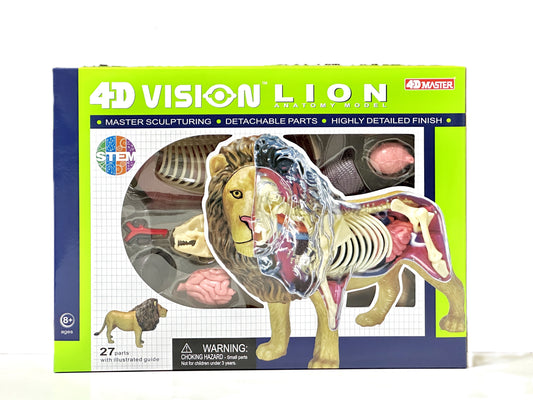 4D Master 622036 Lion ライオン 解剖モデル