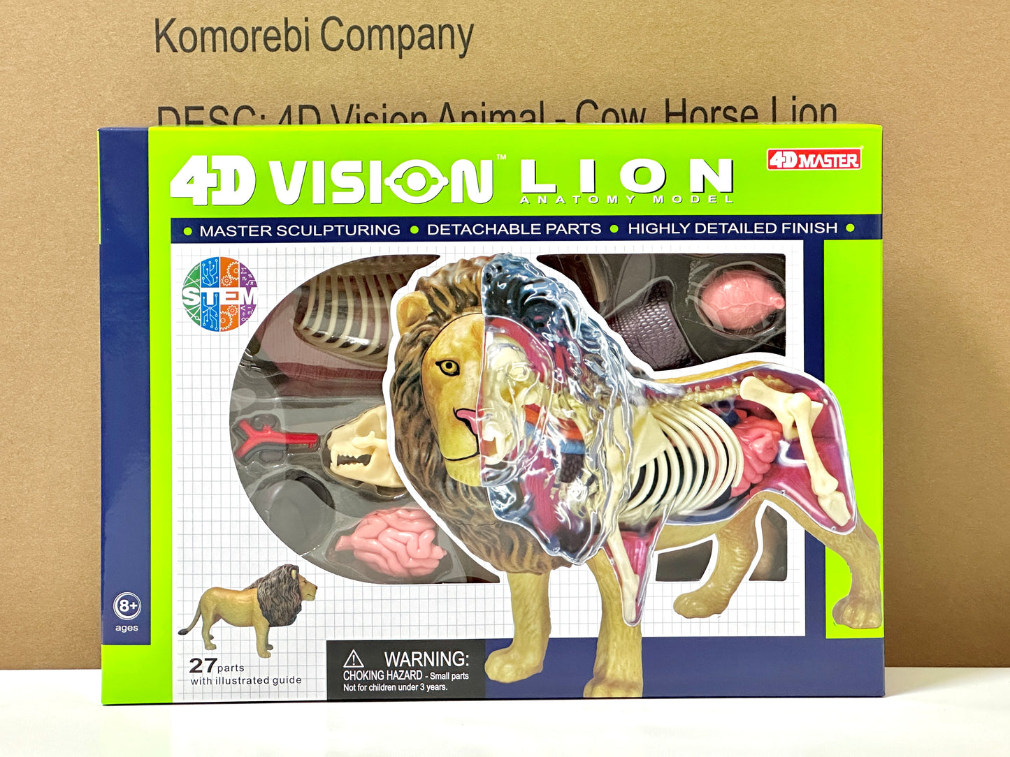 4D Master 622036 Lion ライオン 解剖モデル
