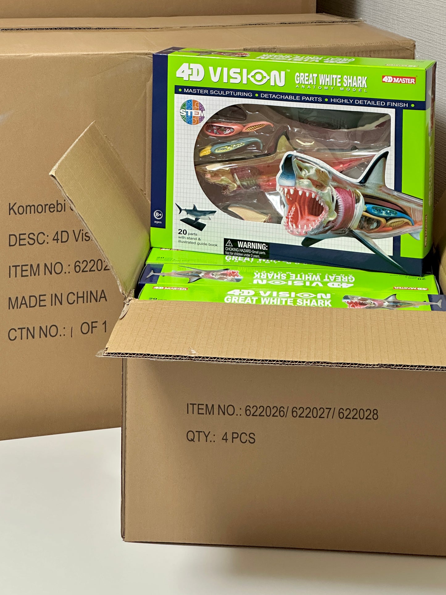 4D Master 622028 Great White Shark ホホジロザメ 解剖モデル