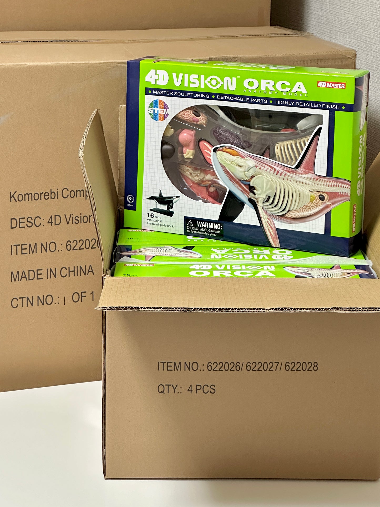 4D Master 622026 Orca オルカ 解剖モデル
