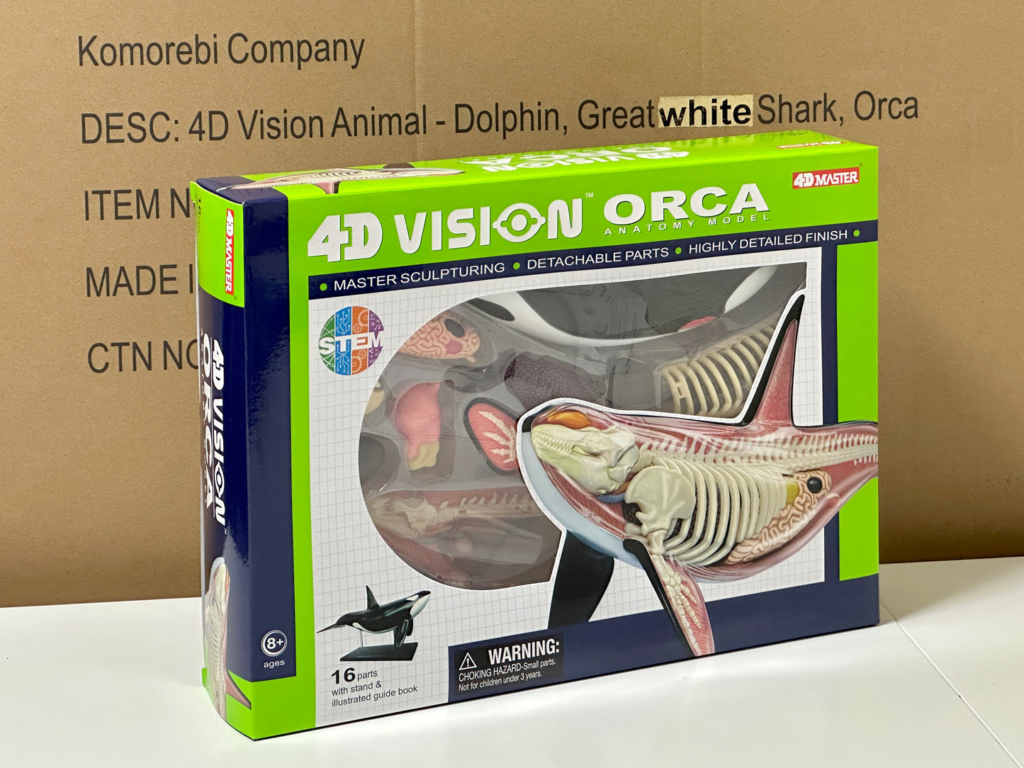 4D Master 622026 Orca オルカ 解剖モデル