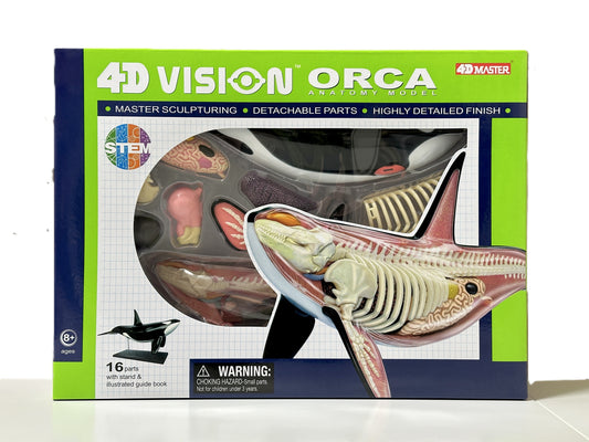 4D Master 622026 Orca オルカ 解剖モデル