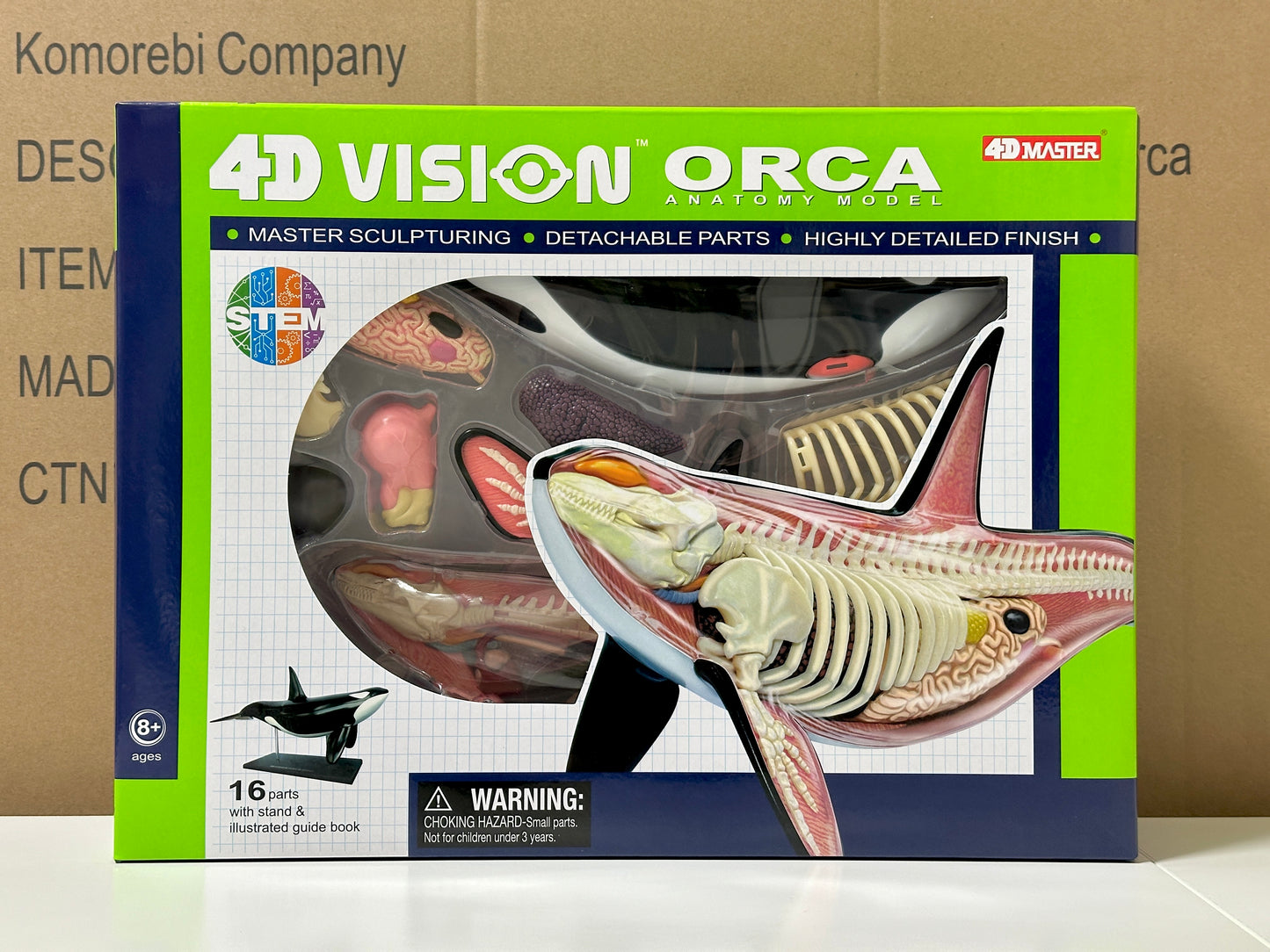 4D Master 622026 Orca オルカ 解剖モデル