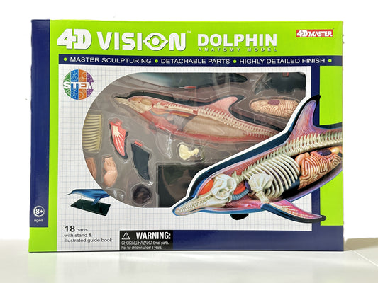 4D Master 622027 Dolphin イルカ解剖モデル