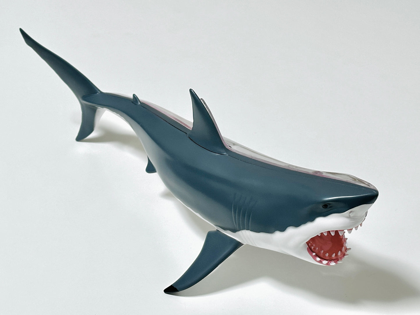 4D Master 622028 Great White Shark ホホジロザメ 解剖モデル