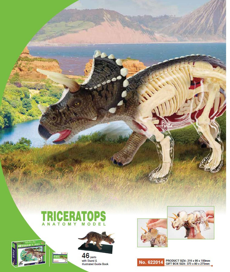 4D Master 622014 Triceratops トリケラトプス 解剖モデル