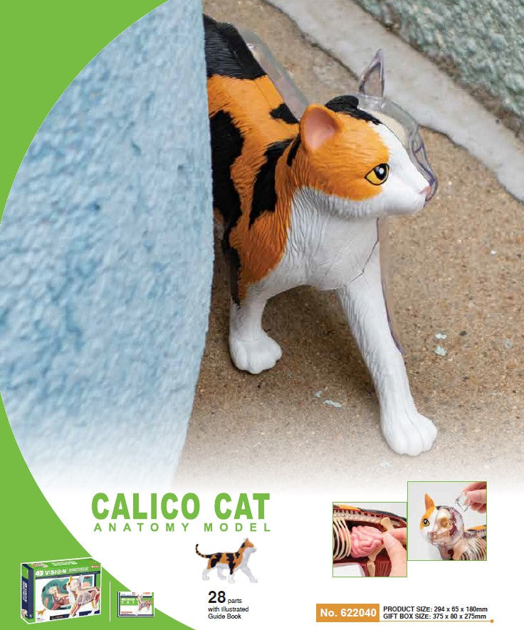 4D Master 622040 Calico Cat 三毛猫 解剖モデル
