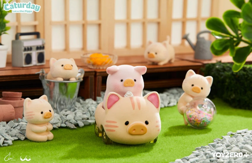 LuLu the Piggy - Caturday