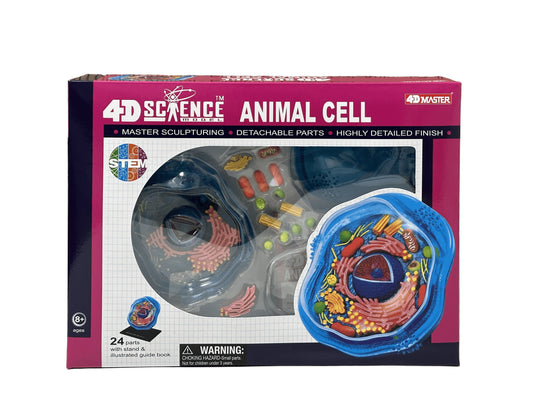 4D Master 624001 Animal Cell 動物細胞モデル