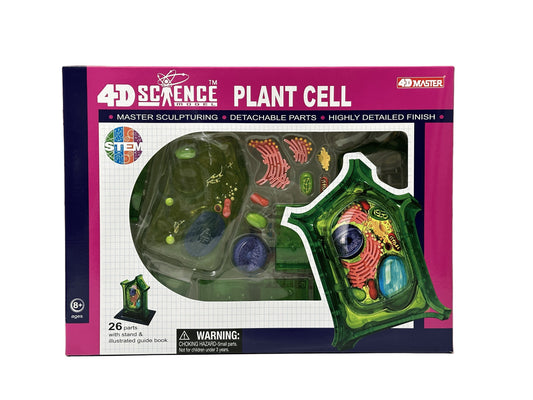 4D Master 624002 Plant Cell 植物細胞モデル
